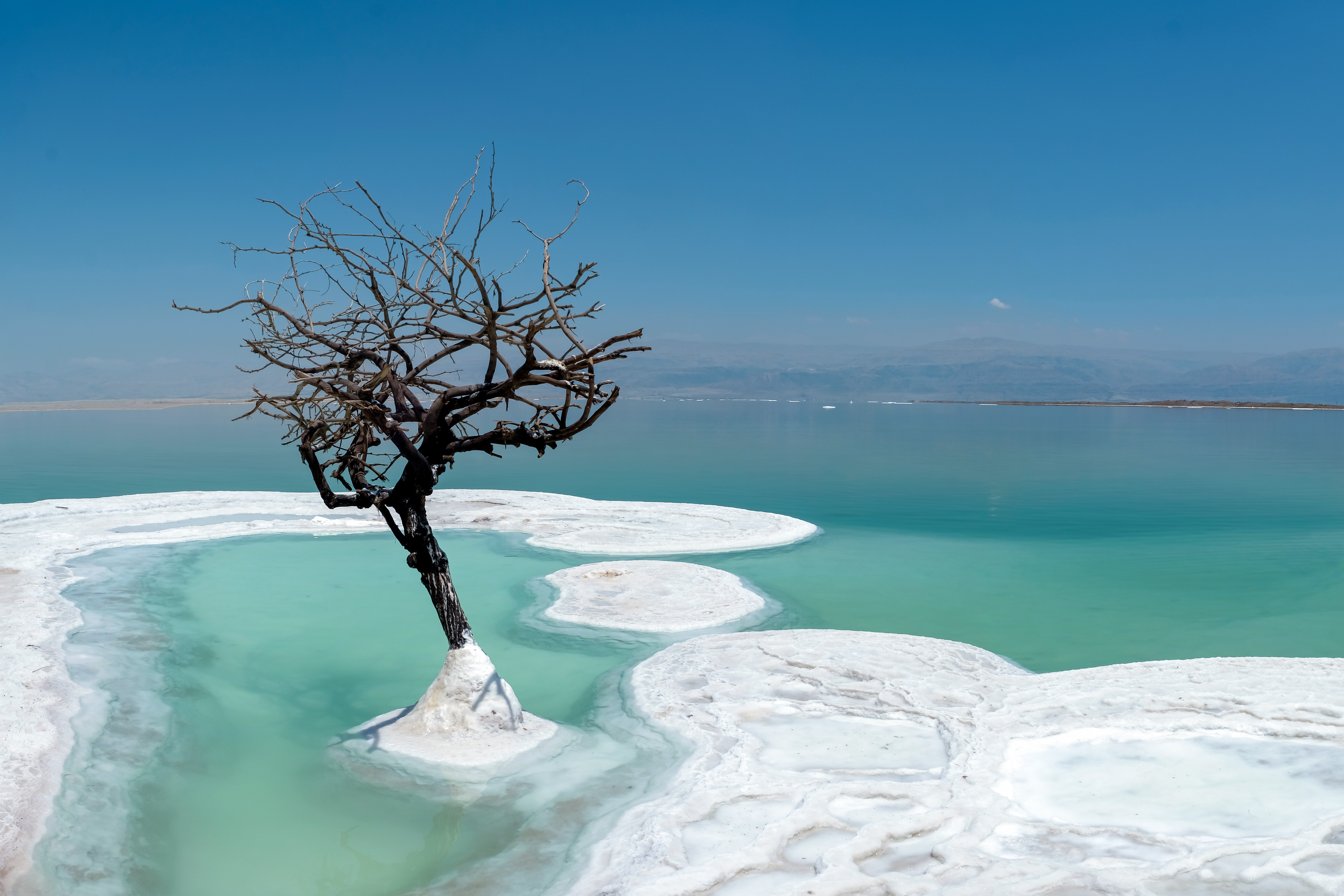 The Dead Sea inside us